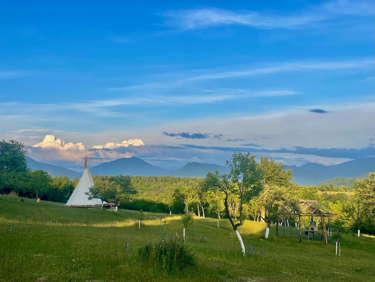 Langaland Glamping Hotel Felsőborgó Kültér fotó